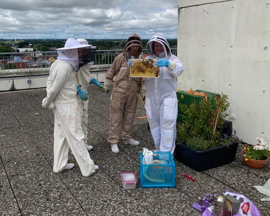 Foto 3 Personen begutachten Bienenwabe auf einer dachterasse