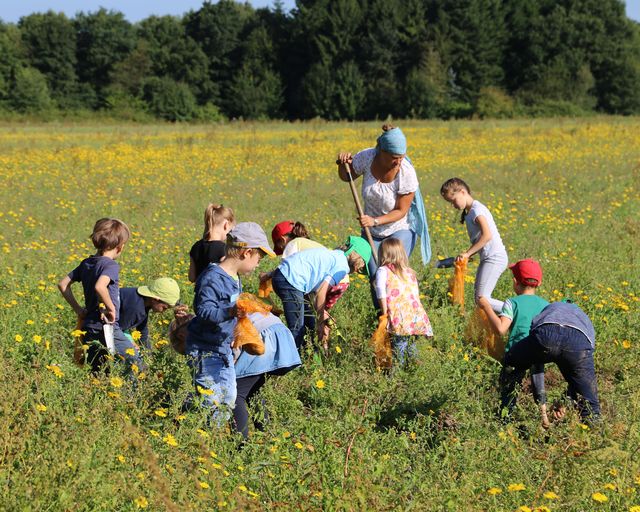 Kindergruppe tummelt sich auf Blumenwiese
