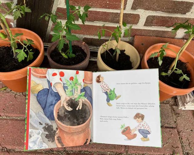 Aufgeschlagenes Buch mit Pflanzanleitung, dahinter bepflanzte Blumentöpfe