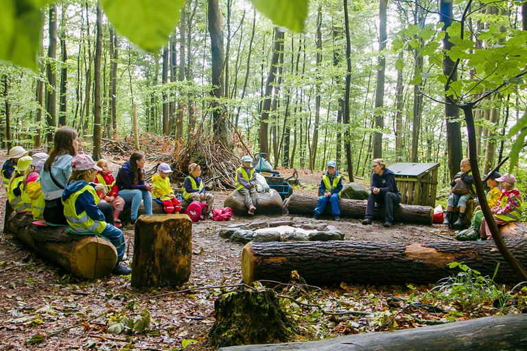 Personengruppe im Wald auf Baumstämmen sitzend