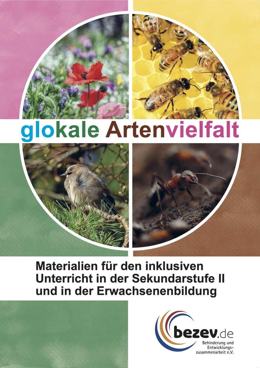 Flyertitel glokale Artenvielfalt Materialien für den inklusiver Unterricht Sek 2 und Erwachsene