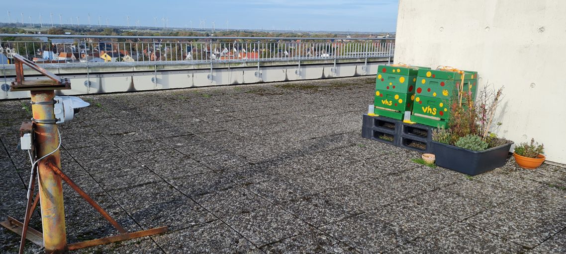 Foto Dachterasse mit 2 Bienenvölkern, einem Blumenbeet und einer Kamera