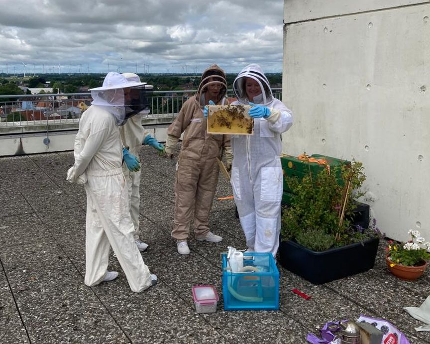 Foto 3 Personen begutachten Bienenwabe auf einer dachterasse