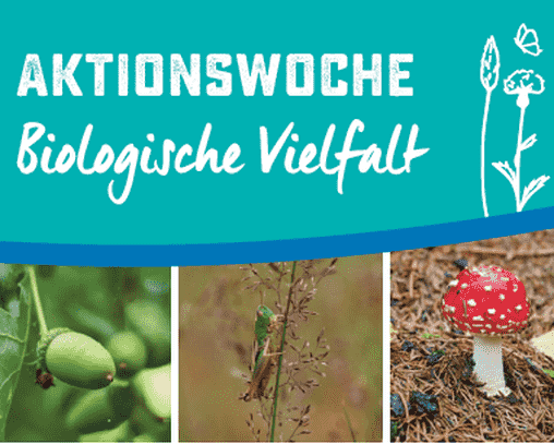 Aktionswoche Biologische Vielfalt