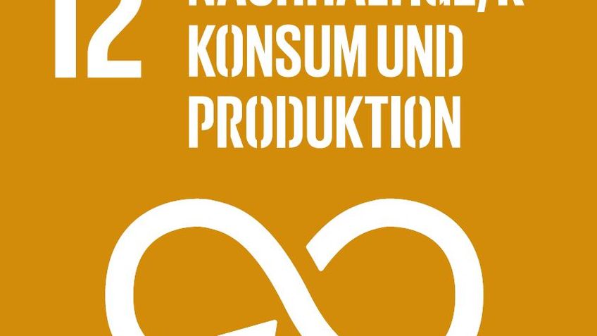 ICON SDG12 - nachhaltiger Konsum und Produktion