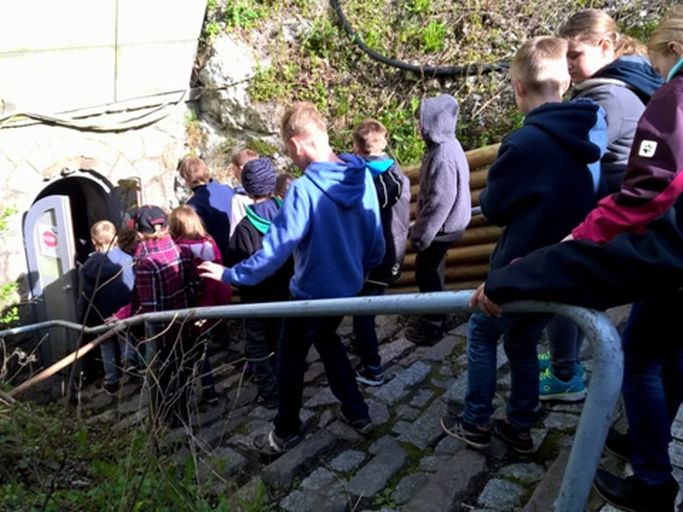 Führung einer Kindergruppe durch de Segeberger Kalkberghöhle