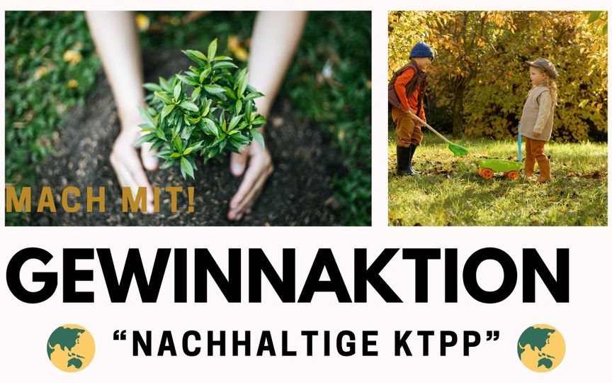 Zwei Hände halten eine Pflanze mit Wurzelballen