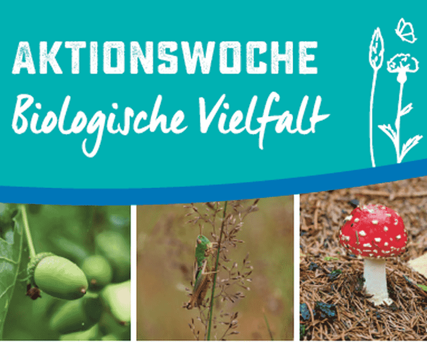 Aktionswoche Biologische Vielfalt