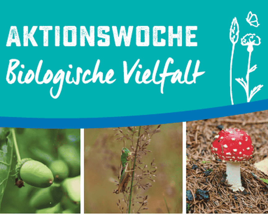 Aktionswoche Biologische Vielfalt