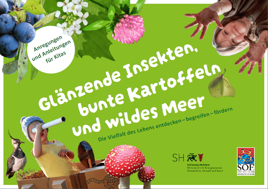 Abbildung Cover: Handlungsset zu Biodiversität-Anregungen und Anleitungen für Kitas