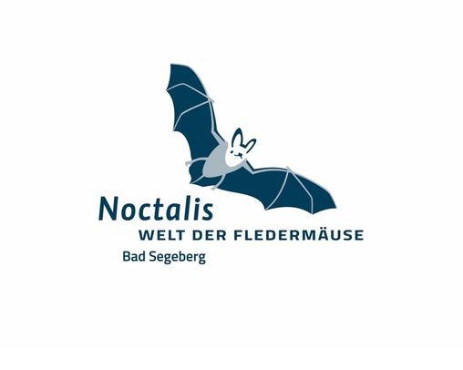 Logo Noctalis Fledermaus neben Schriftzug