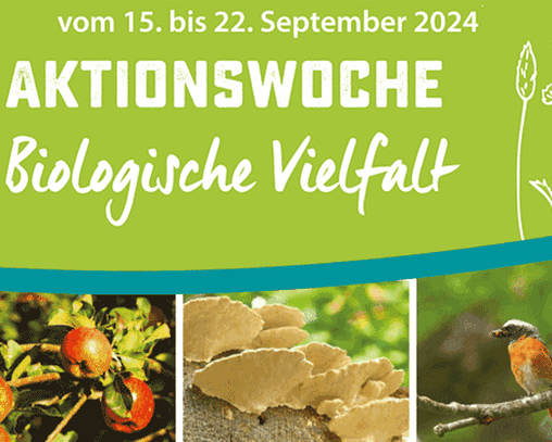 Aktionswoche Biologische Vielfalt ©S.Polte