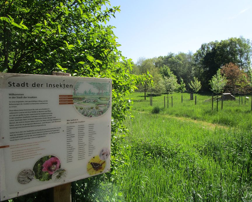 Infotafel vor einer Streuobstwiese