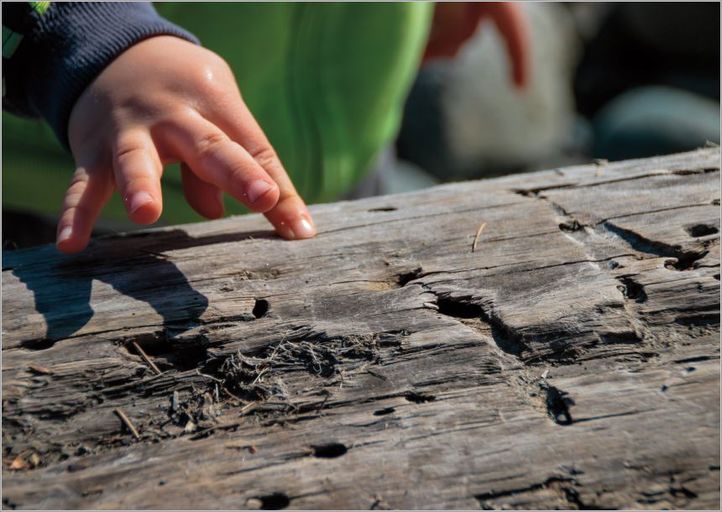 Kinderhand befühlt Baumstamm
