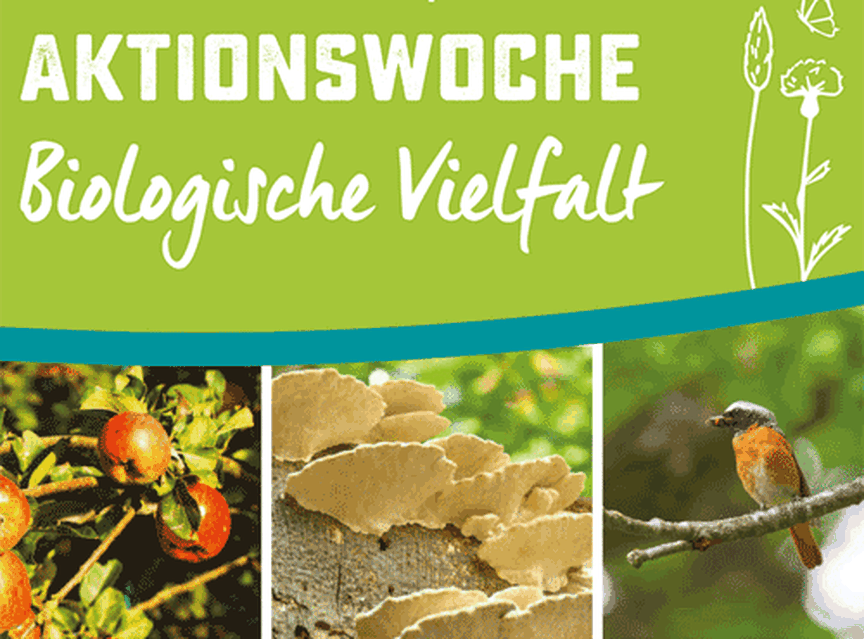 Aktionswoche Biologische Vielfalt ©S.Polte