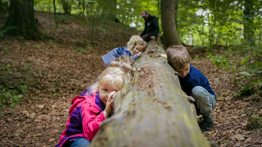 Kinder am Baumstamm horchend