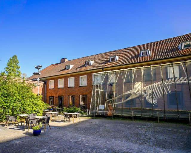 Museum für Natur und Umwelt Domplatz Außenansicht des Museums vom Domplatz mit Blick auf Pottwalskelett