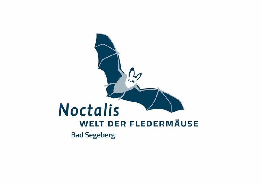 Logo Noctalis Fledermaus neben Schriftzug