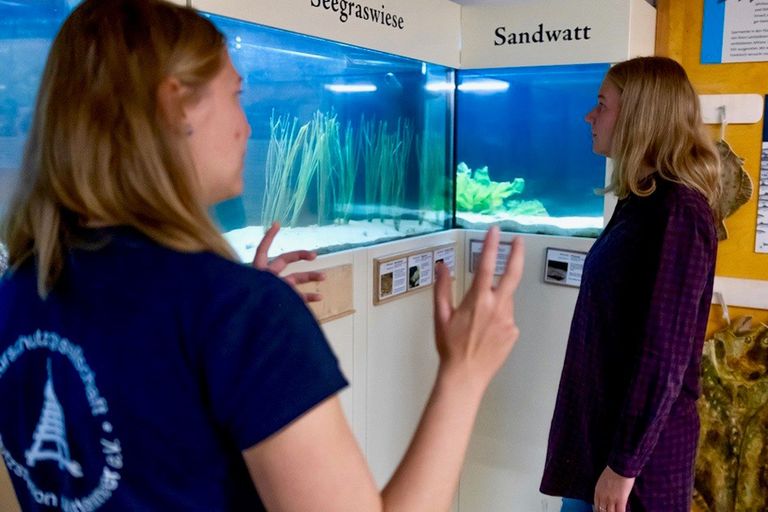 Zwei Mädchen betrachten ein Aquarium