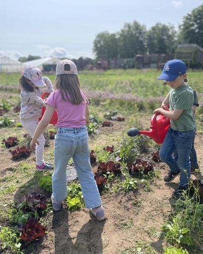 Drei Kinder beim Kräuter bewässern