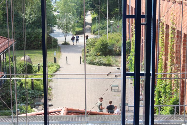 Blick aus dem Fenster auf den Hauptweg zum Campus Altenholz