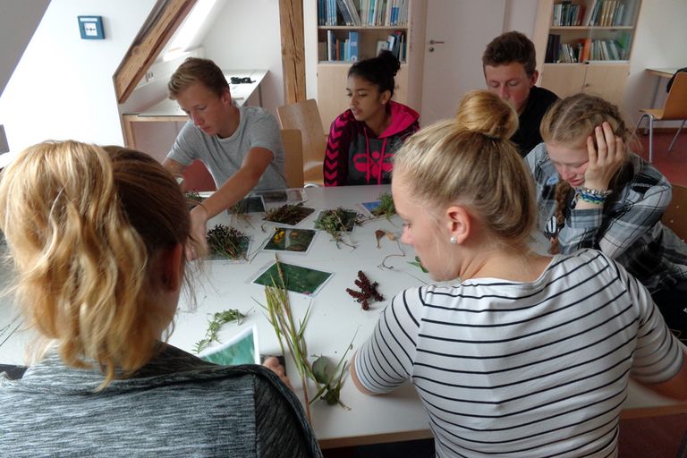 Jugendliche Teilnehmende eines Workshops sitzen arbeitend an einem Tisch