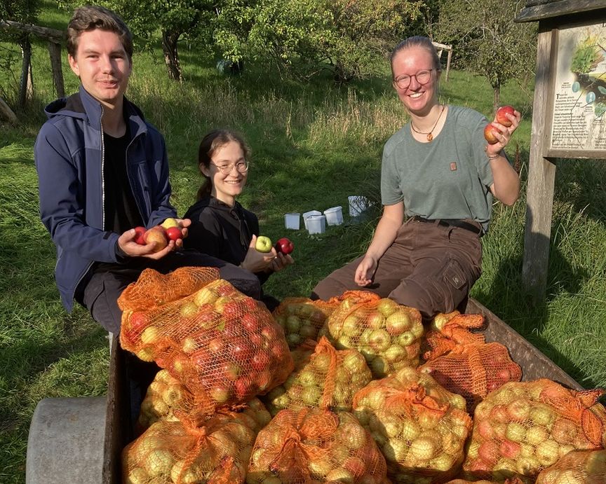 Äpfel in Kisten, dahinter stehen 3 Personen