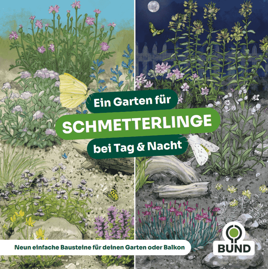 Ein Garten für Schmetterlinge